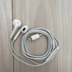 Apple純正イヤホン