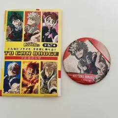 ヒロアカ缶バッジ