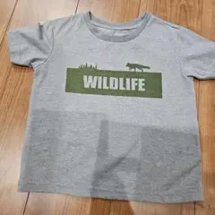 ノースフェイス　tシャツ　110 グレー