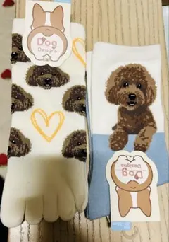 Dog Designs トイプードル　靴下　2足セット　5本指ソックス