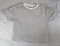 ハニーズ　レディース　Tシャツ Sサイズ 白地ストライプ