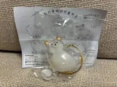 うちの子けだまだま　犬　柴犬