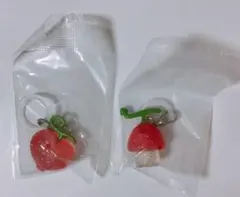 ONE PIECE めじるしアクセサリー3 オペオぺの実　ヒトヒトの実