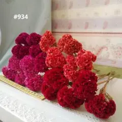 ☆934 ケイトウ ドライフラワー MIX 20本