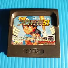 THE　プロ野球91