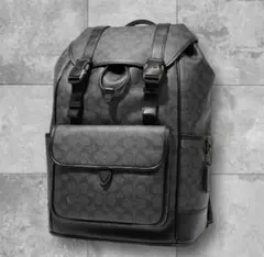 Item thumbnail for item bfa7ae1e-00b4-4b07-a070-110759fb9caa