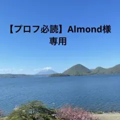 【プロフ必読】Almond様　ミニポーチ　インド刺繍パープル系　ハンドメイド