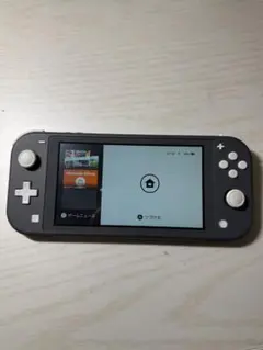 Nintendo Switch Lite グレー 本体