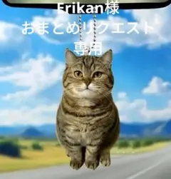 Erikan★様 リクエスト 3点 おまとめ商品
