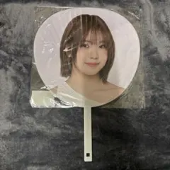 Item thumbnail for item 8e641079-ffb2-45c3-b1a6-68de4756c67a