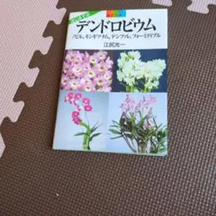はじめてのデンドロビウム 江尻光一 園芸ライフ