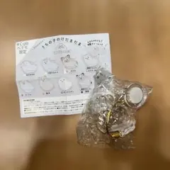 うちの子のけだまだま 犬 プードル