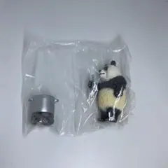 Item thumbnail for item 63041a5a-56f8-4cdf-ba30-8db11656de3a