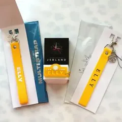 ELLY ペンライトアクセサリー＆マルチストラップ2点