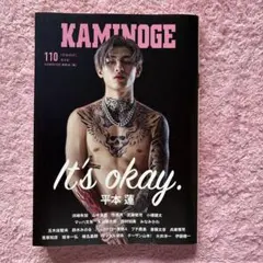 KAMINOGE110