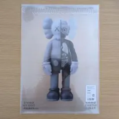 KAWS TOKYO FIRST Plastic folder クリアファイル KAWS TOKYO FIRST クリアファイル 9種セット カウズ KAWS TOKYO FIRST