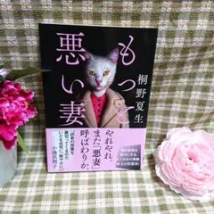 もっと悪い妻 桐野 夏生