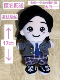 2025年最新】道枝駿佑 ちびぬい 金田一の人気アイテム - メルカリ