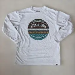 Item thumbnail for item 04418b9d-d830-4d6e-8572-210b817c0ec5