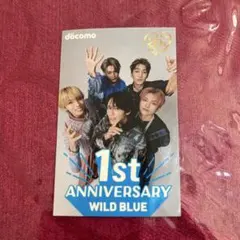 WILD BLUE グッズ まとめ売り WILD BLUE 宮武颯 - メルカリ