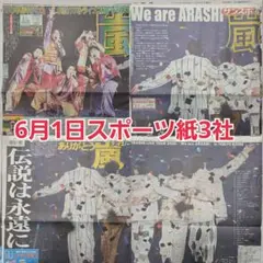 匿名配送！送料込み！ 6月1日 朝刊　 スポーツ紙3社のサムネイル