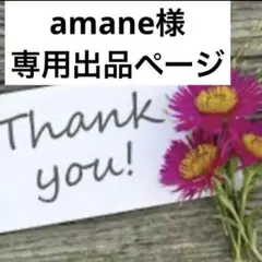 amane様専用出品ページ