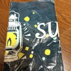 季節もの　雑貨SALE中様 リクエスト 2点 まとめ商品