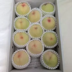 岡山県産白桃 白麗 ロイヤル 13個入り 岡山県産白桃 白麗 ロイヤル 13個入り - メルカリ