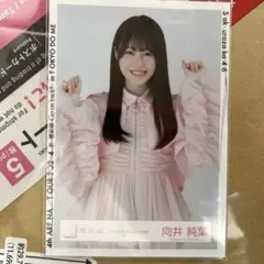 【チュウ】櫻坂46 向井純葉「3rd TOUR 2023」 ライブ衣装