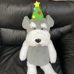 シュナとボブ ぬいぐるみ