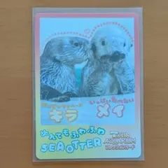 鳥羽水族館 コレクションカード vol2 ラッコ キラ メイ - メルカリ