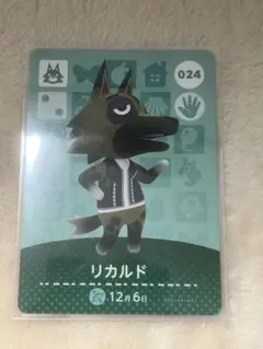 リカルド あつ森　amiiboカード 024