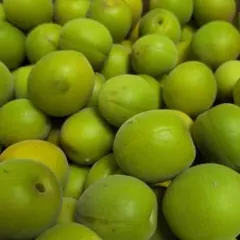 青うめ無農薬 約3 kg(箱等込み) 梅酒梅ジュース梅シロップにいかがのサムネイル