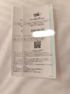 6/23 東京ディズニーシー ハッピーエントリー 2枚のサムネイル