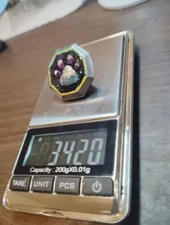 Item thumbnail for item e912a453-00a6-45eb-aa85-24d2e09ece1a