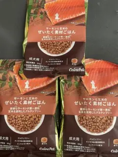 カインズペット サーモンと玄米のぜいたく素材ごはん 成犬用 80g サンプル3点のサムネイル