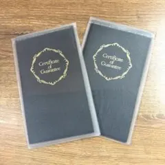 Item thumbnail for item 372e6d43-8523-4de8-b669-0b57bb6f23df