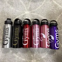 ぴぴちゃん様　新品未使用　Gyms 水素水専用ボトル
