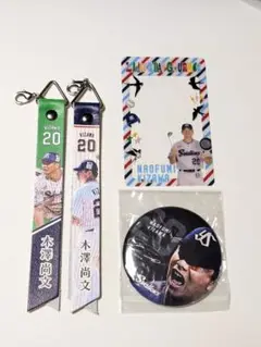 木澤尚文 ボンフィン 缶バッジ グルメカード 4点セット 東京ヤクルトスワローズ