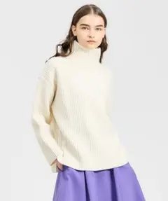 バルキーアゼハイネックニット