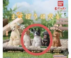 まてぼうけ犬4 ラブラドール・レトリバー - メルカリ