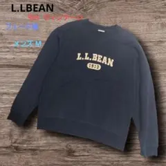 Item thumbnail for item ce52948e-f2d0-41ee-b442-6e72b25ae6bd