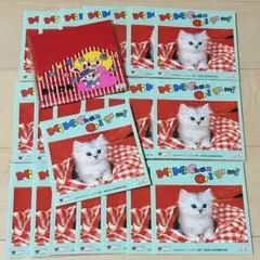 Item thumbnail for item 8828d98d-d129-4e8b-978c-0753cc33ee3c