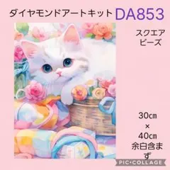 DA853★ダイヤモンドアートキット★スクエアビーズ