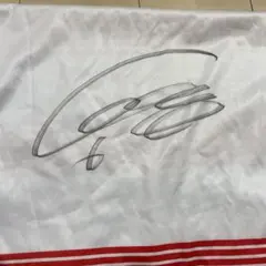 東レアローズ静岡 藤中優斗 8 サイン入り VIPパス - メルカリ