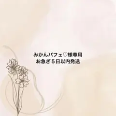 みかんパフェ♡様専用