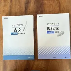 Item thumbnail for item 876af4f9-6d97-4f3e-9d57-ff0df54ca4c1