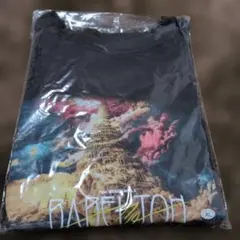 えーさん様 リクエスト 2点 まとめ商品