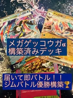 ポケモンカード　メガゲッコウガex構築デッキ調整デッキパーツ 本格構築】メガゲッコウガex構築済みデッキ 調整用カードセット - メルカリ