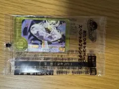 ポケモンフレンダ　あたりキャンペーン　タケルライコ